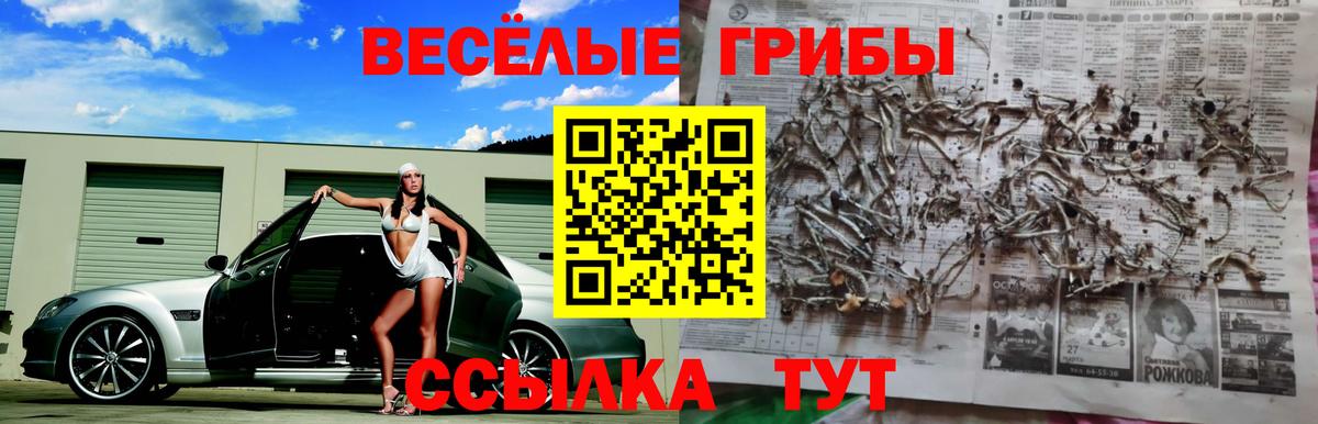 Псилоцибиновые грибы прущие грибы  Галлюциногенные грибы ЛСД  Вход с VPN  Нурлат 
